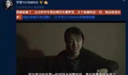 成源家暴爆料视频最新,真相揭露，受害者勇敢发声